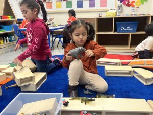 Young child plays with elephant toy in pre-kindergarten classroom